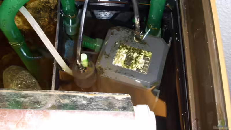 Technik im Aquarium Becken 4650 von Deniz Özcan (3)