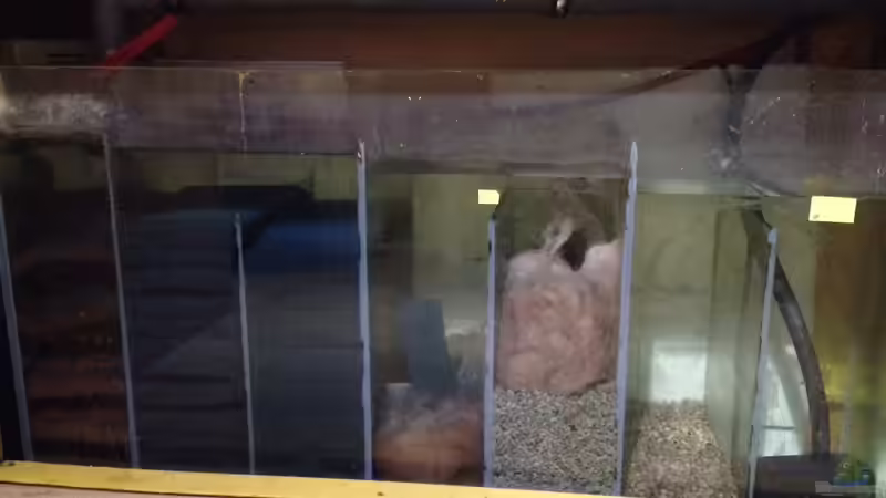 Technik im Aquarium Becken 4654 von Marko Geißler (9)