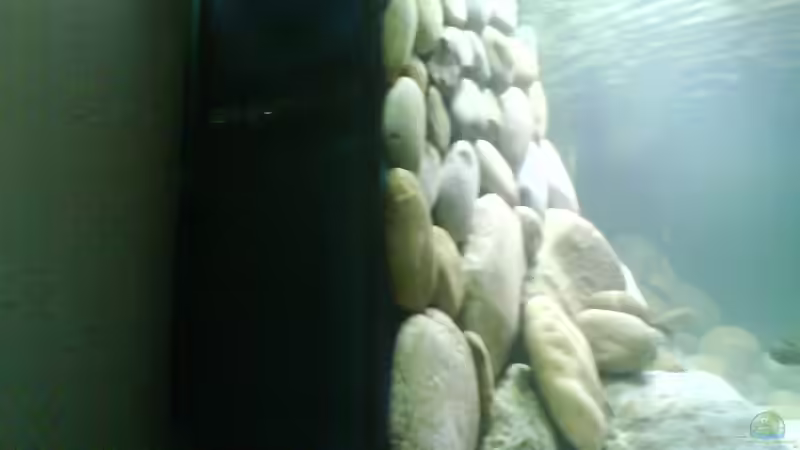 Technik im Aquarium Becken 4659 von Gernold Lengert (21)