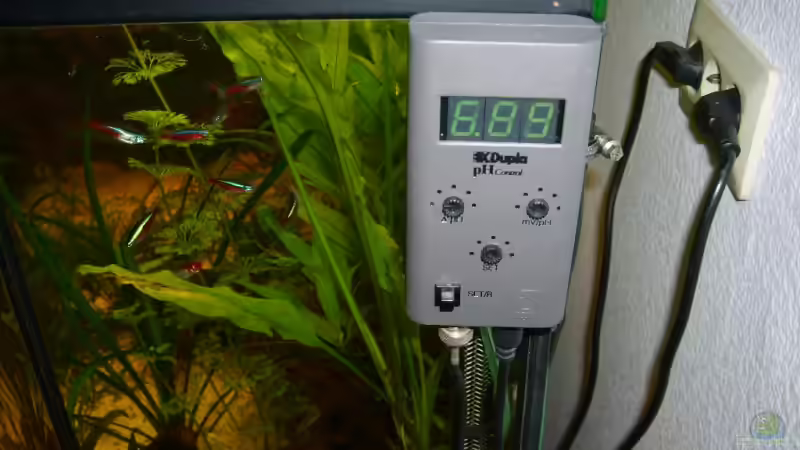 Technik im Aquarium Becken 4716 von Dennis Niemeier (8)