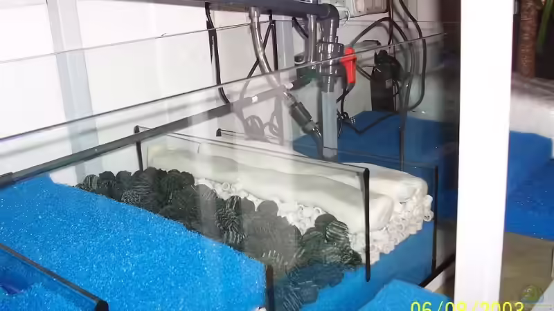 Technik im Aquarium Becken 4764 von Daniel Kurz (10)