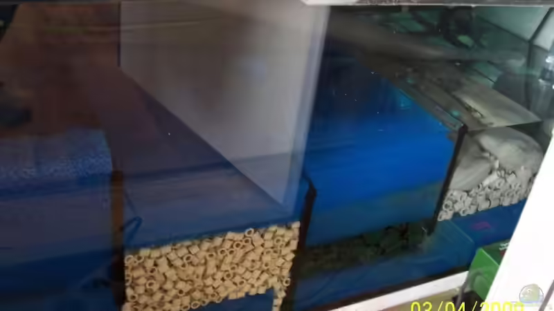 Technik im Aquarium Becken 4764 von Daniel Kurz (11)
