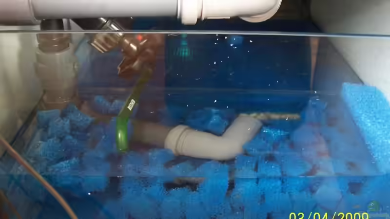 Technik im Aquarium Becken 4764 von Daniel Kurz (12)