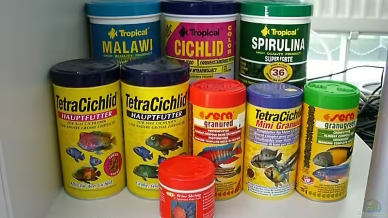 Technik im Aquarium Becken 4815 von Christian Dornieden (32)