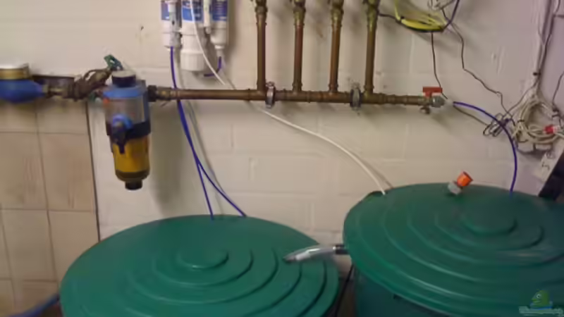 Technik im Aquarium Becken 4833 von JoSchi (12)