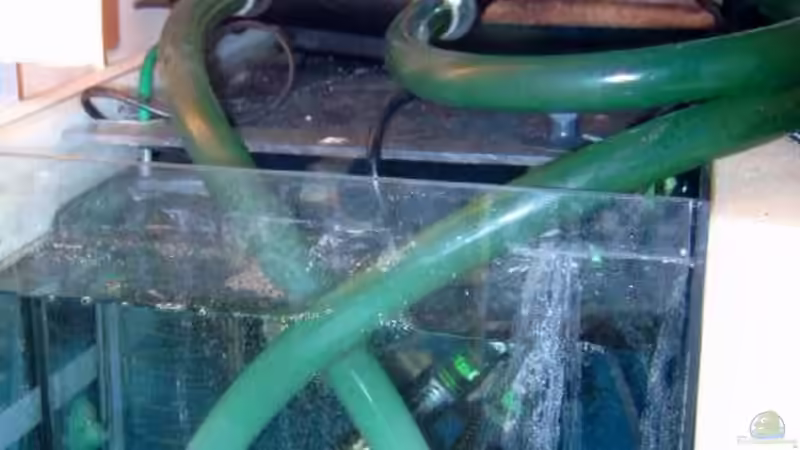 Technik im Aquarium Becken 4836 von Sebastian Büttner (4)