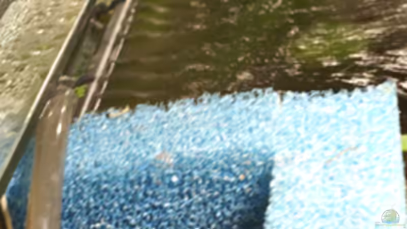 Technik im Aquarium Becken 4843 von David Philipp (4)