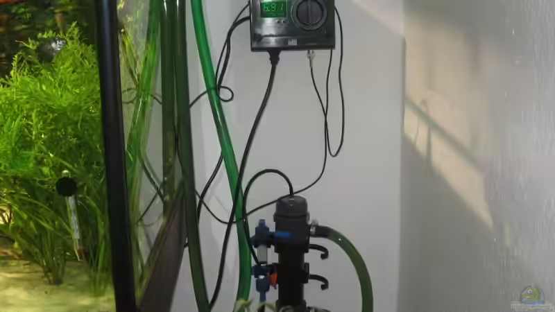 Technik im Aquarium Becken 4891 von Inge Zuber (14)