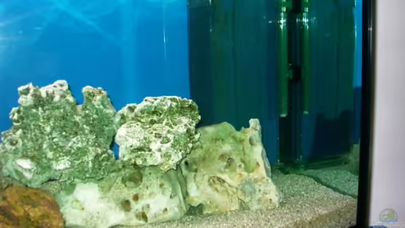 Technik im Aquarium Becken 491 von Tobias Noll (8)