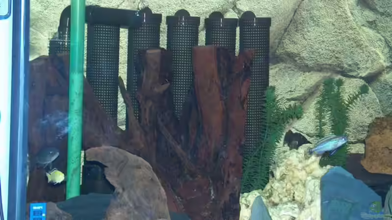 Technik im Aquarium Becken 493 von Manuel und Horst Greul (4)