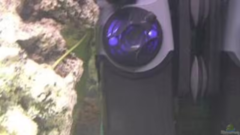 Technik im Aquarium Becken 4948 von Stefan Großmann (7)