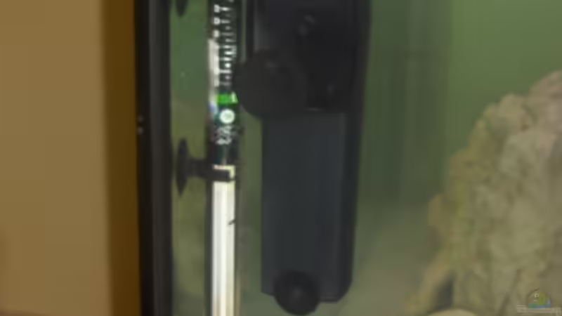 Technik im Aquarium Becken 5049 von KevP79 (14)