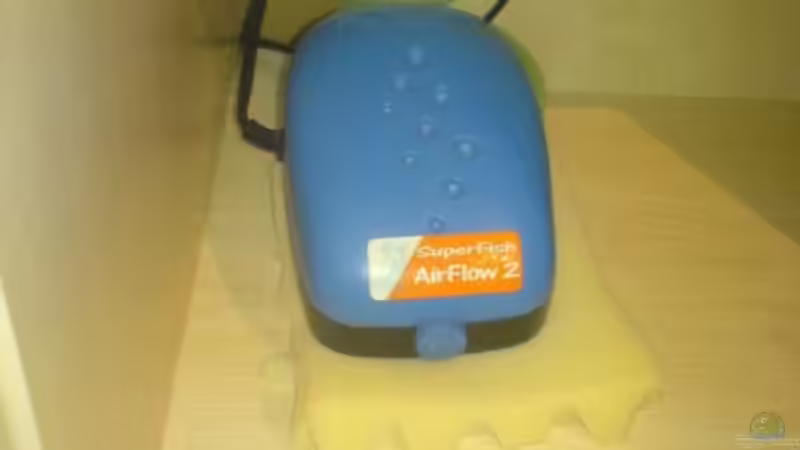 Technik im Aquarium Becken 5074 von Heiko Rodegast (5)