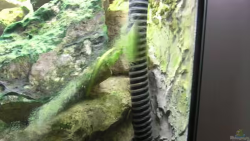 Technik im Aquarium Becken 511 von Sebastian Ruminski (6)