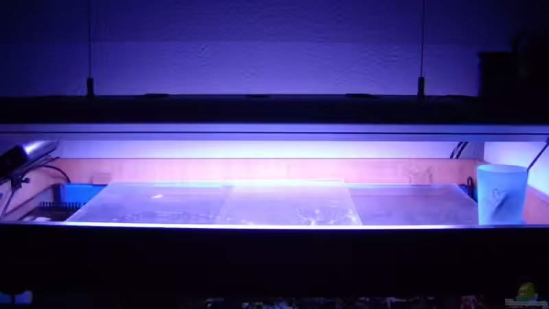 Technik im Aquarium Becken 5130 von Andre Kian (14)