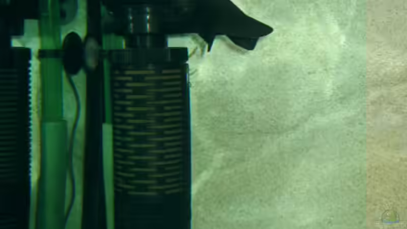 Technik im Aquarium Becken 5165 von Thomas Leeb (12)