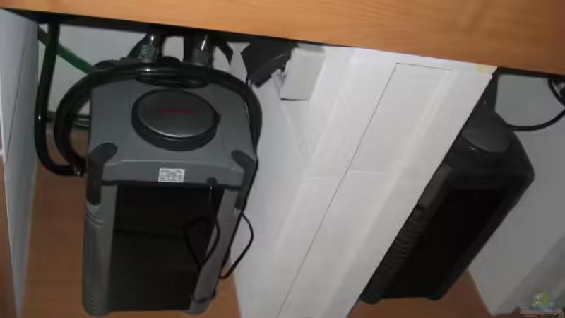 Technik im Aquarium Becken 5165 von Thomas Leeb (14)