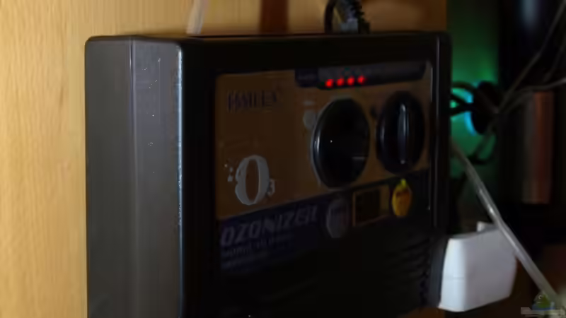 Technik im Aquarium Becken 5244 von LISA (16)