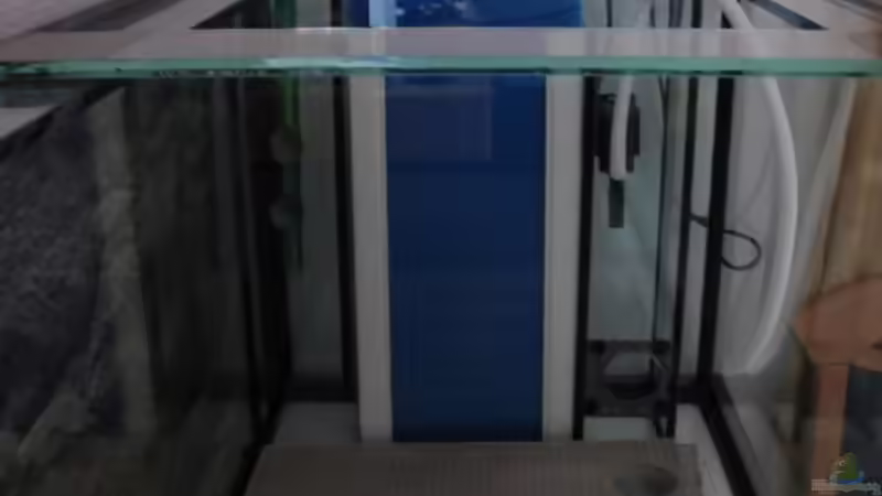 Technik im Aquarium Becken 5255 von Anja und Ingo Hermes (10)