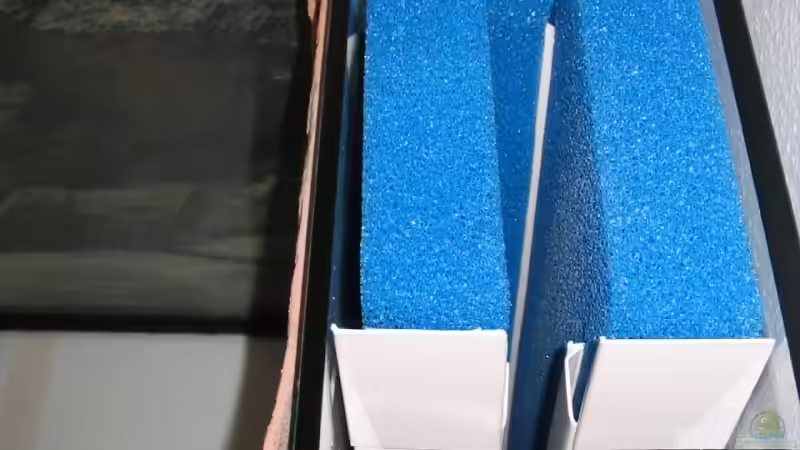 Technik im Aquarium Becken 5255 von Anja und Ingo Hermes (8)