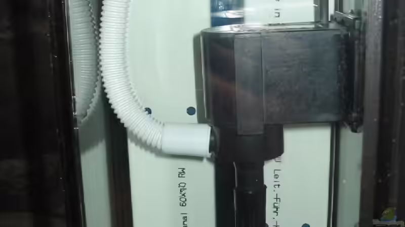 Technik im Aquarium Becken 5255 von Anja und Ingo Hermes (9)