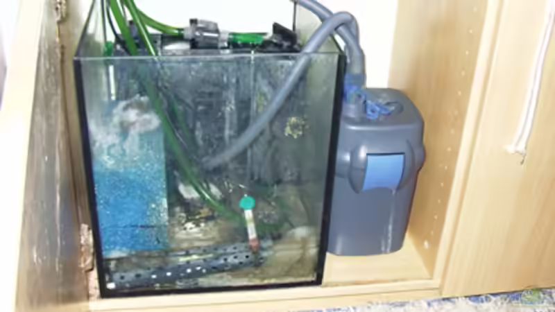 Technik im Aquarium Becken 53 von Benjamin Heinzel (3)