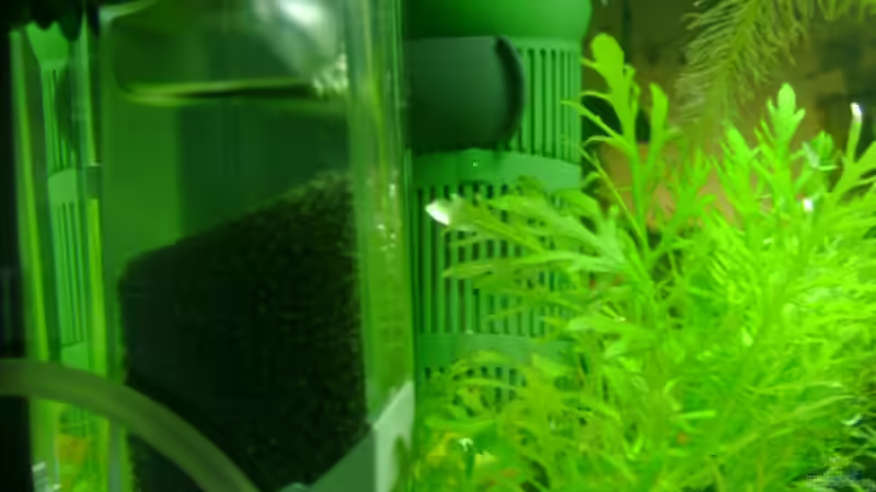 Technik im Aquarium Becken 5335 von Karin Wolff (10)