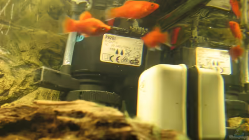 Technik im Aquarium Becken 5357 von Lazy (2)