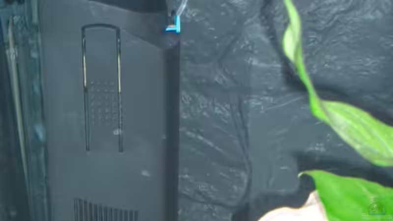 Technik im Aquarium Becken 555 von René Damboldt (16)