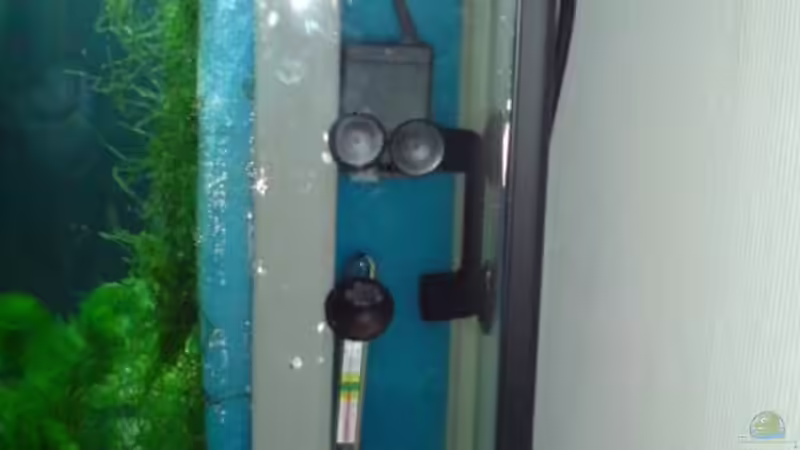 Technik im Aquarium Becken 5602 von Melanie Stege (8)