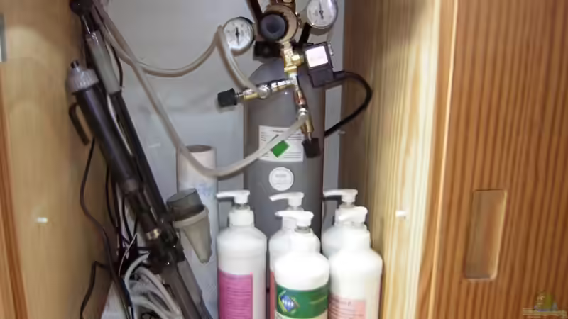 Technik im Aquarium Becken 5627 von Thomas Gläsel (8)