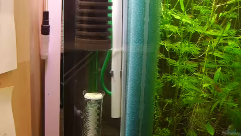 Technik im Aquarium Becken 5631 von Lehmann Ronald (17)