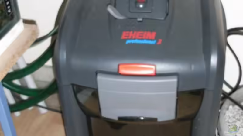 Technik im Aquarium Becken 5662 von Patrick Kowalski (6)