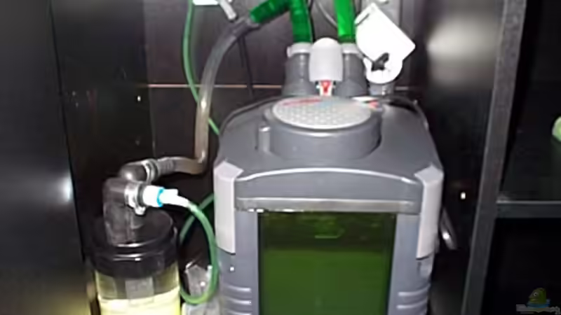 Technik im Aquarium Becken 57 von Frank Georges (6)