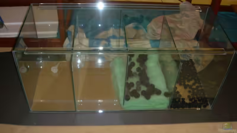 Technik im Aquarium Becken 5816 von Michael Schilling (21)