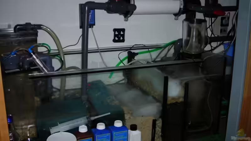 Technik im Aquarium Becken 5845 von Andre Lovsky (5)