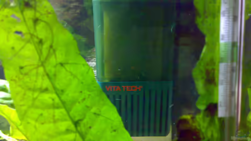 Technik im Aquarium Becken 5850 von Carsten Stange (5)