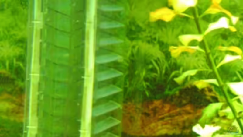 Technik im Aquarium Becken 5912 von Franziska Weinfurtner (4)