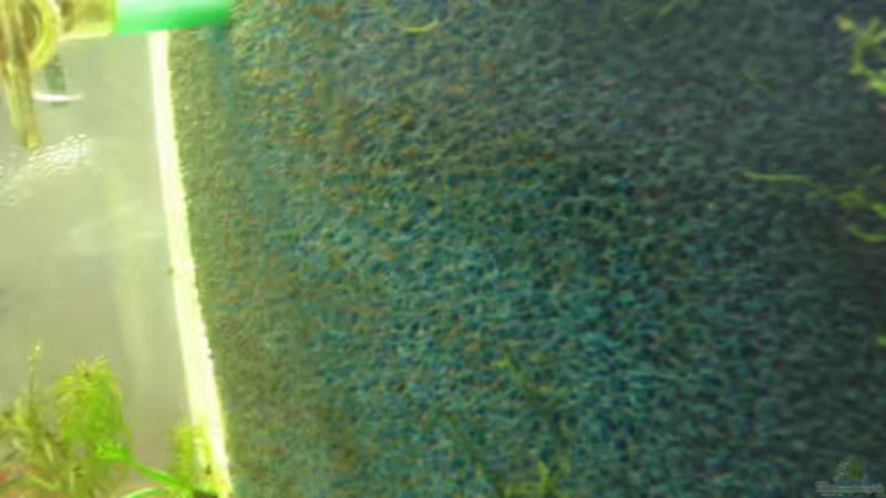 Technik im Aquarium Becken 5980 von TNTLogge (13)