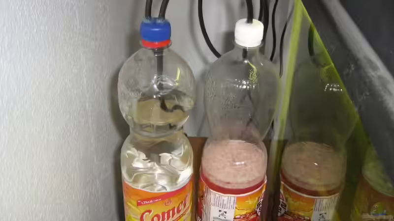 Technik im Aquarium Becken 5980 von TNTLogge (15)