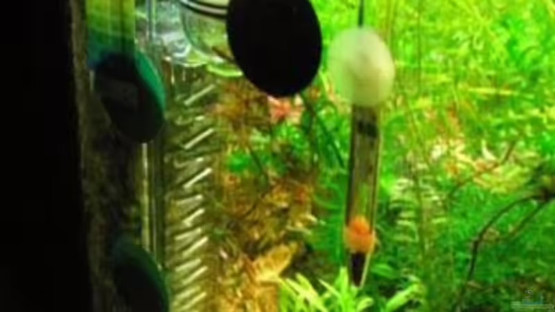 Technik im Aquarium Becken 6146 von Reimund Wessel (5)