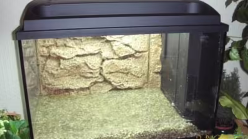 Technik im Aquarium Becken 6146 von Reimund Wessel (6)