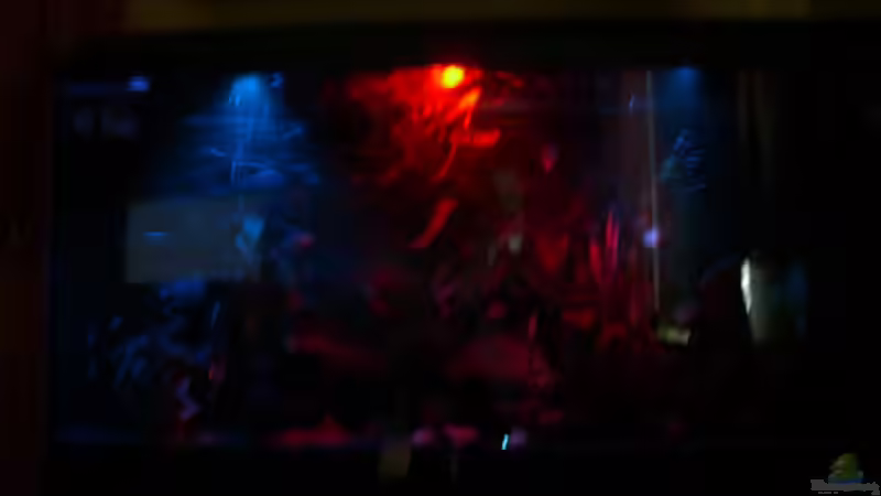 Technik im Aquarium Becken 6148 von Martin Jung (7)