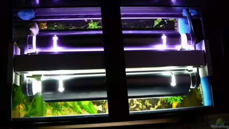 Technik im Aquarium Becken 6208 von René Leubecher (15)