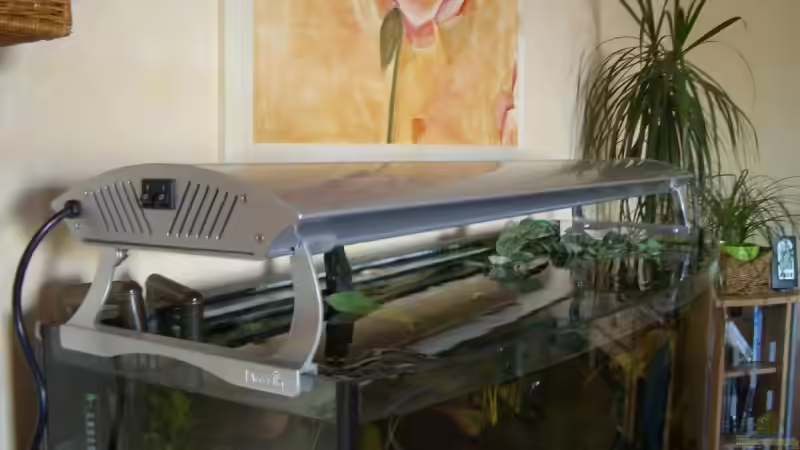 Technik im Aquarium Becken 6220 von Dennis Kühne (14)