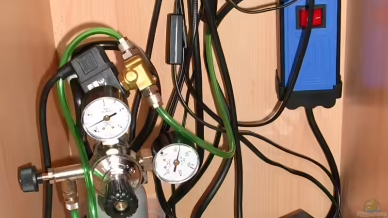 Technik im Aquarium Becken 6221 von Michael Paulisch (6)