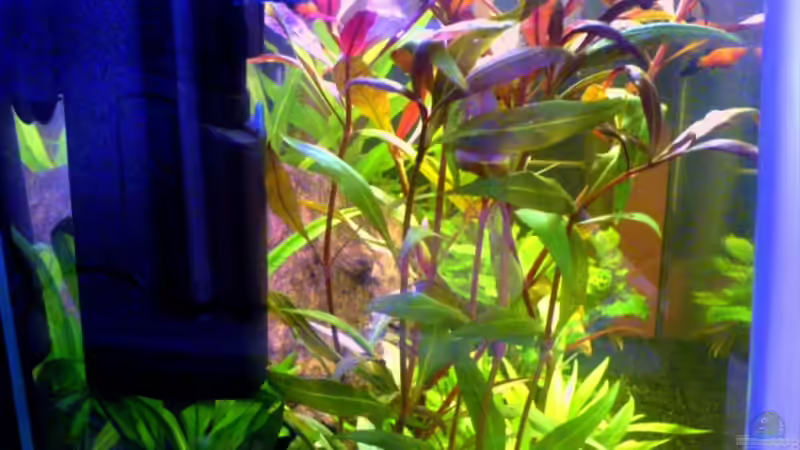 Technik im Aquarium Becken 6233 von Cathrin Krause (17)