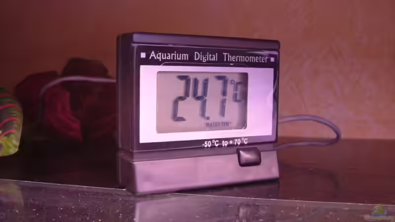 Technik im Aquarium Becken 6244 von Oliver Rädel (20)