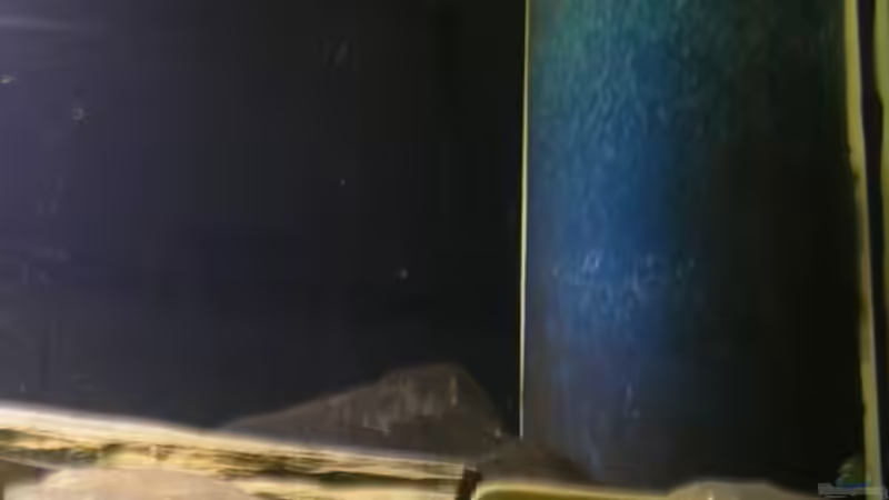 Technik im Aquarium Becken 6291 von René Leubecher (13)