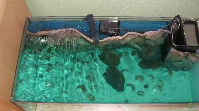 Technik im Aquarium Becken 6354 von Fabian Schulte (34)